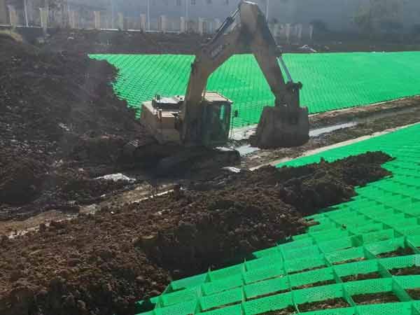 c(din)鿴Ԕ(x)Ϣ(bio)} xΔ(sh)1750