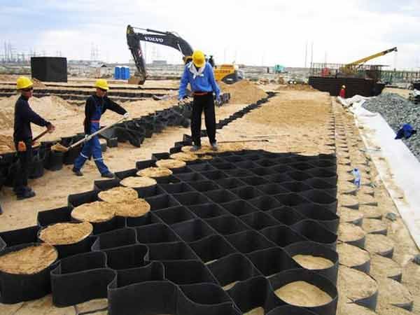 c(din)鿴Ԕ(x)Ϣ(bio)} xΔ(sh)1469