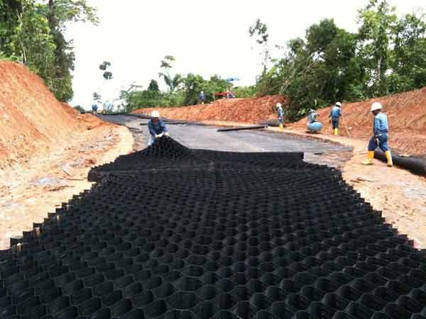 c(din)鿴Ԕ(x)Ϣ(bio)} xΔ(sh)1519